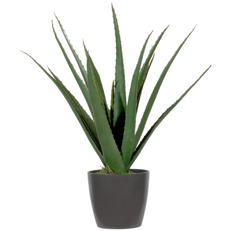 PAPERFLOW kunstplant Aloe Vera, groen, zonder pot